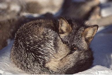 约翰·卡马克旗下通用人工智能公司获两千万美元投资